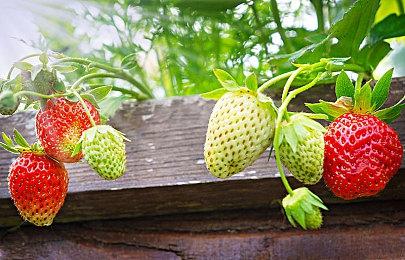 系列单人衍生游戏《超时空战记Slash》公布 今冬发售